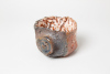Nano Tea-Rex 2026, 6 x 9 cm, wood kiln fired / Holzbrand ~ 1330°C/ 68h wild clay slip /shino/ Slipglasur aus wildem Ton Ein Auge blickt Dich an. Nano Tea-Rex ein lebendes Fossil./An eye looks at you. Nano Tea-Rex, a living fossil.&nbsp;120 Euro&nbsp;&nbsp;Inquire&nbsp;